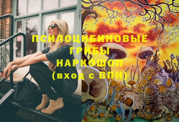 хмурый Абдулино