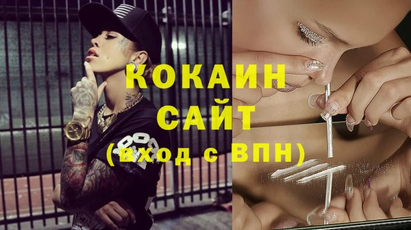 прущие грибы Лагань