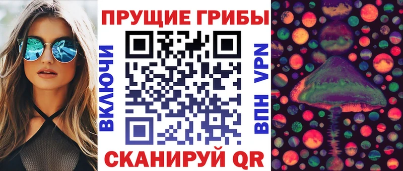 Галлюциногенные грибы Psilocybine cubensis  купить закладку  Севастополь 